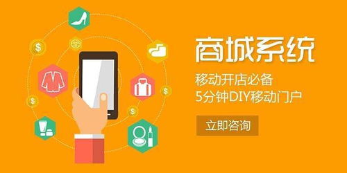 【網(wǎng)絡軟件開發(fā)公司】-